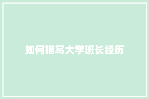 如何描写大学班长经历