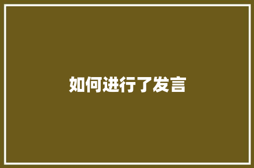 如何进行了发言