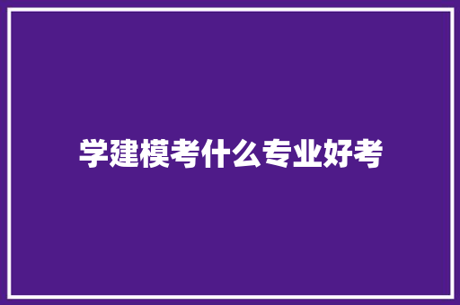 学建模考什么专业好考