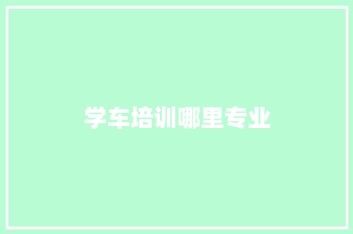 学车培训哪里专业 简历范文