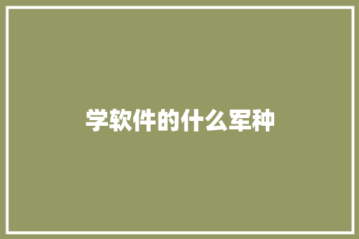 学软件的什么军种