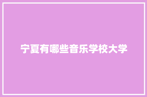 宁夏有哪些音乐学校大学