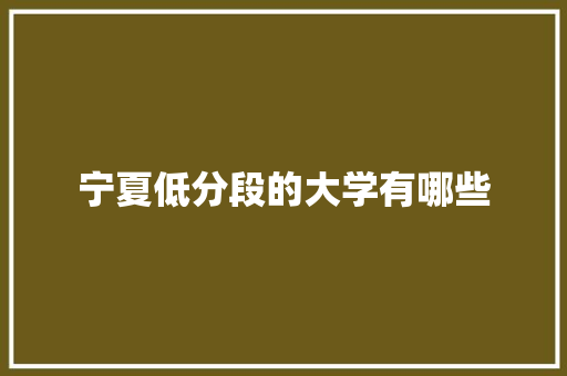 宁夏低分段的大学有哪些