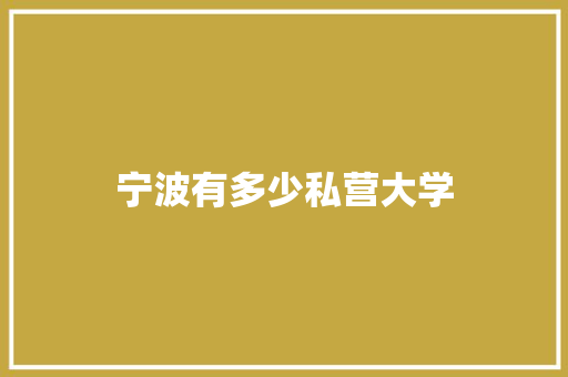 宁波有多少私营大学