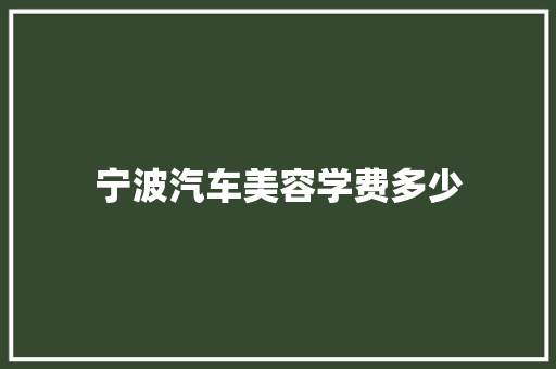 宁波汽车美容学费多少
