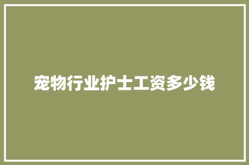 宠物行业护士工资多少钱