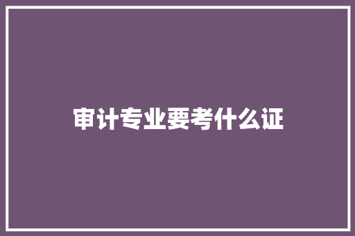 审计专业要考什么证