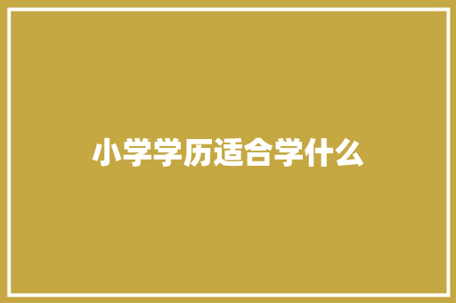 小学学历适合学什么 应用文范文