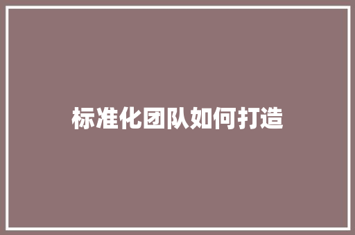 标准化团队如何打造