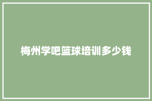 梅州学吧篮球培训多少钱