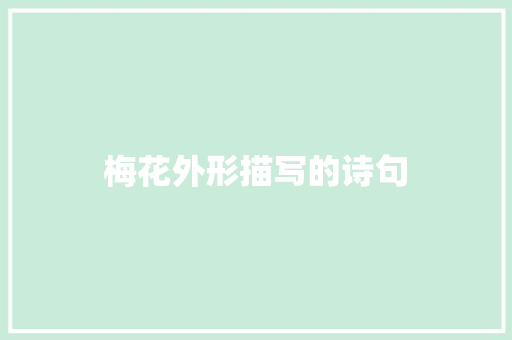 梅花外形描写的诗句