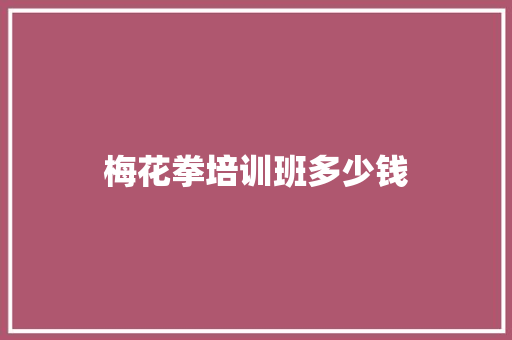 梅花拳培训班多少钱