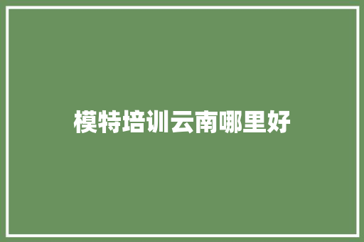 模特培训云南哪里好
