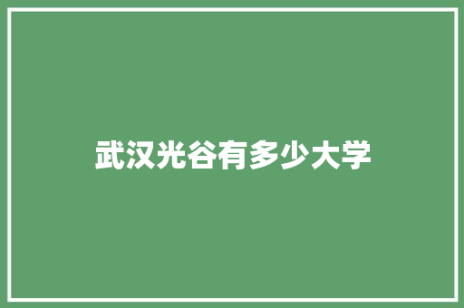 武汉光谷有多少大学