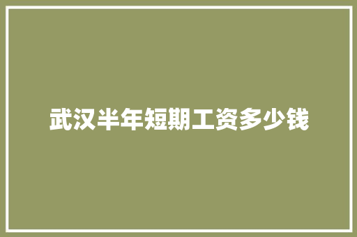 武汉半年短期工资多少钱