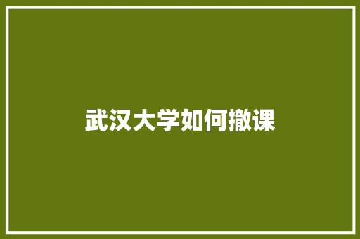 武汉大学如何撤课