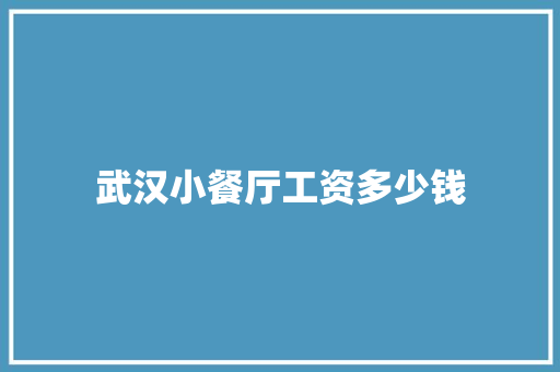 武汉小餐厅工资多少钱