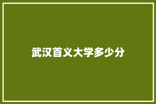 武汉首义大学多少分