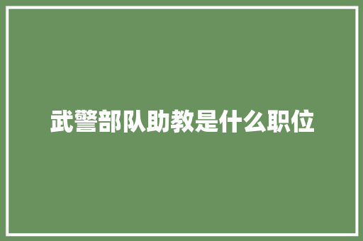 武警部队助教是什么职位