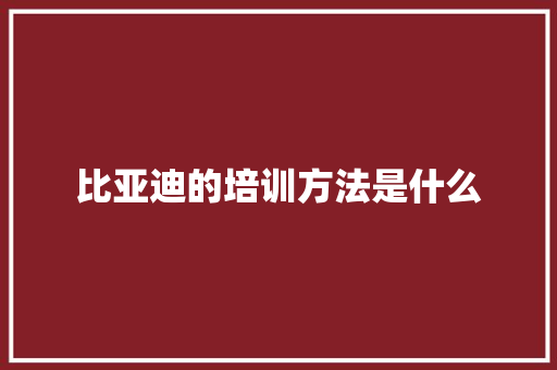 比亚迪的培训方法是什么