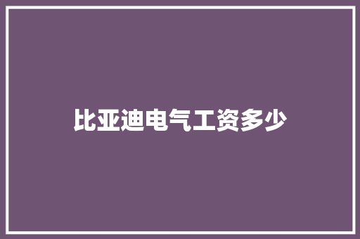 比亚迪电气工资多少