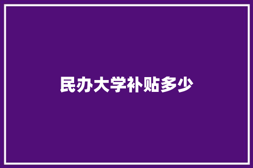 民办大学补贴多少