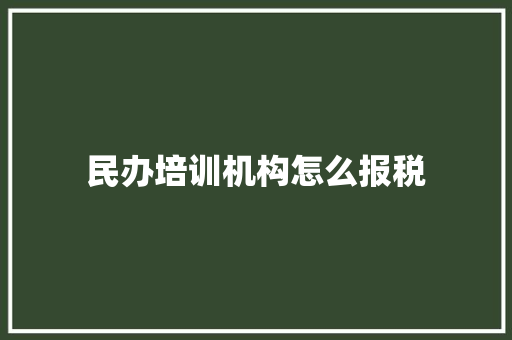 民办培训机构怎么报税