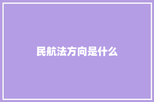 民航法方向是什么