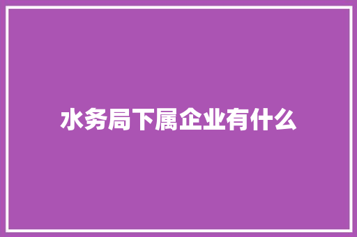 水务局下属企业有什么