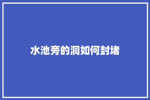 水池旁的洞如何封堵