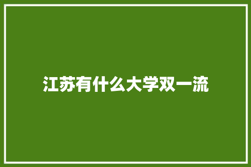 江苏有什么大学双一流