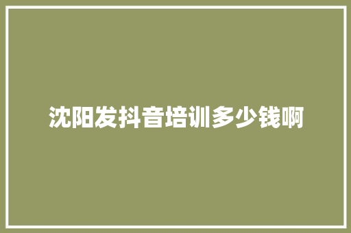 沈阳发抖音培训多少钱啊
