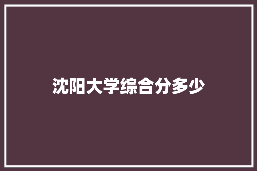 沈阳大学综合分多少