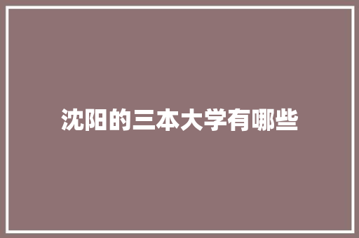 沈阳的三本大学有哪些