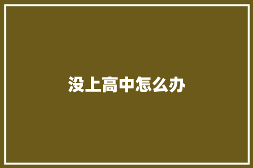 没上高中怎么办