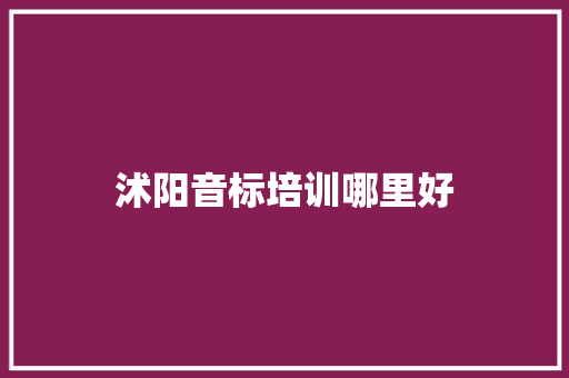 沭阳音标培训哪里好