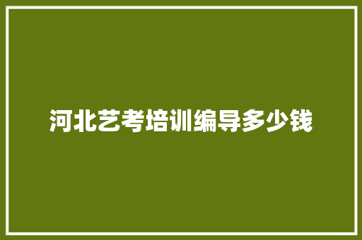 河北艺考培训编导多少钱