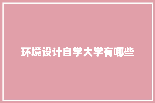 环境设计自学大学有哪些