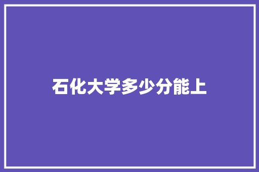 石化大学多少分能上