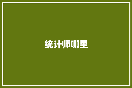统计师哪里 说明文范文