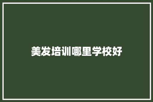 美发培训哪里学校好