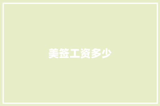 美签工资多少 说明文范文