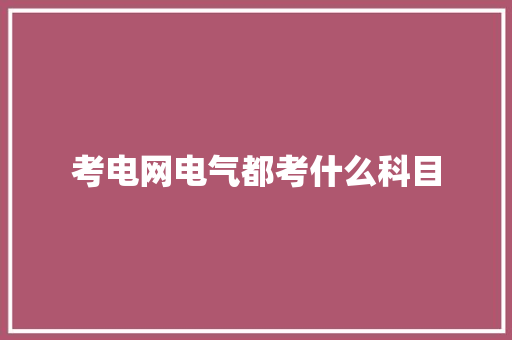考电网电气都考什么科目