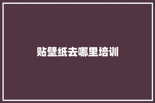 贴壁纸去哪里培训