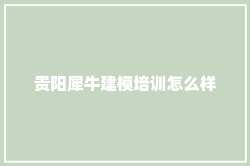 贵阳犀牛建模培训怎么样