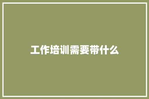 工作培训需要带什么