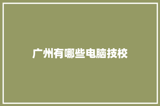 广州有哪些电脑技校 商业计划书范文