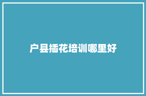 户县插花培训哪里好