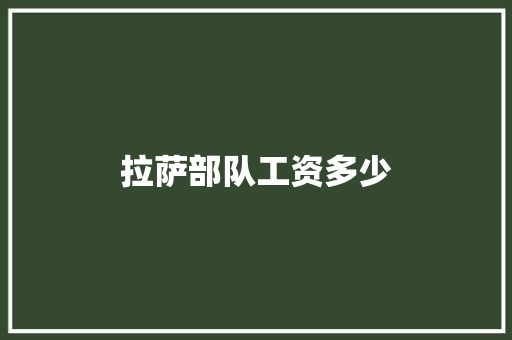 拉萨部队工资多少