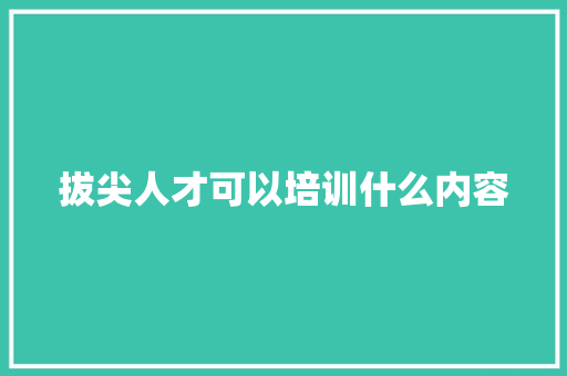 拔尖人才可以培训什么内容